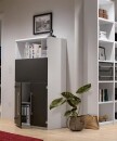 Röhr Techno | Laptop-Box, unten 2 Türen (2 OH), 1 Schreibklappe (2 OH mit Einteilung)