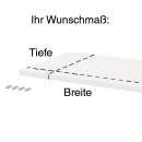 Einlegeboden nach Maß bis 100cm Breite...