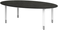 Objekt.Plus by rb | Konferenztisch mit Ovalplatte 220x110cm -  Type 297/-284