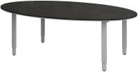 Objekt.Plus by rb | Konferenztisch mit Ovalplatte 220x110cm -  Type 297/-284