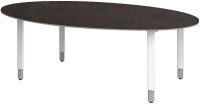Objekt.Plus by rb | Konferenztisch mit Ovalplatte 220x110cm -  Type 297/-284
